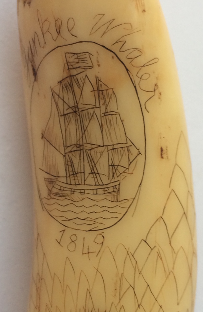 Antique Scrimshaw Tooth 3 5/8" (95mm) depicting Yankee Whaler 1849 and Whale Sounding. - Image 10 of 10