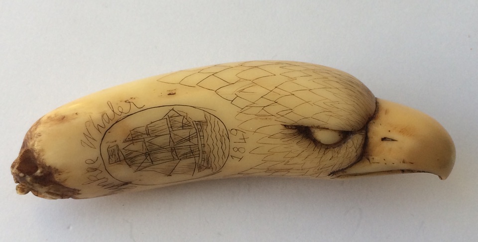 Antique Scrimshaw Tooth 3 5/8" (95mm) depicting Yankee Whaler 1849 and Whale Sounding. - Image 6 of 10