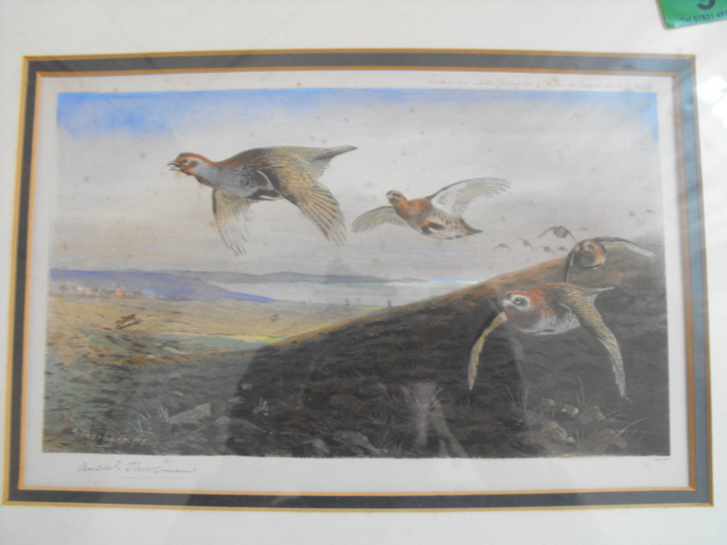 Antique Framed and signed Archibald Thorburn Print published by The Fine Art Society 1896. - Image 2 of 6