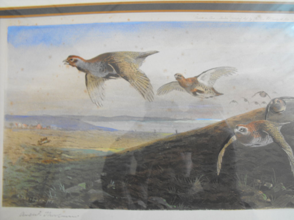 Antique Framed and signed Archibald Thorburn Print published by The Fine Art Society 1896. - Image 4 of 6