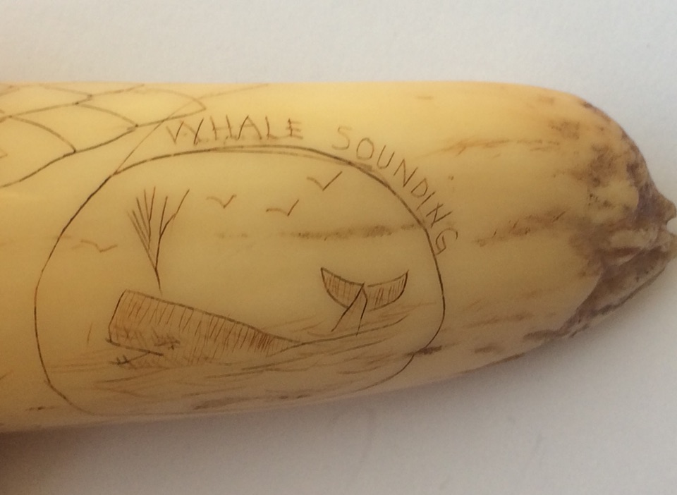 Antique Scrimshaw Tooth 3 5/8" (95mm) depicting Yankee Whaler 1849 and Whale Sounding. - Image 8 of 10