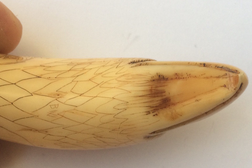 Antique Scrimshaw Tooth 3 5/8" (95mm) depicting Yankee Whaler 1849 and Whale Sounding. - Image 4 of 10