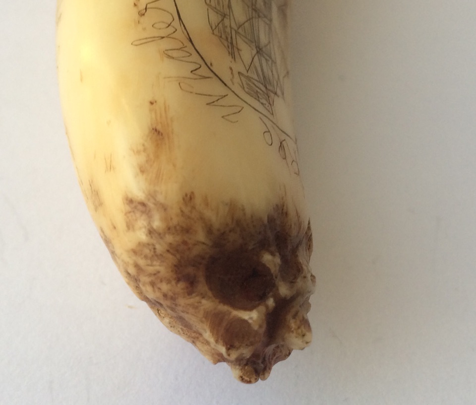 Antique Scrimshaw Tooth 3 5/8" (95mm) depicting Yankee Whaler 1849 and Whale Sounding. - Image 2 of 10