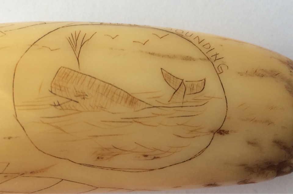 Antique Scrimshaw Tooth 3 5/8" (95mm) depicting Yankee Whaler 1849 and Whale Sounding. - Image 7 of 10