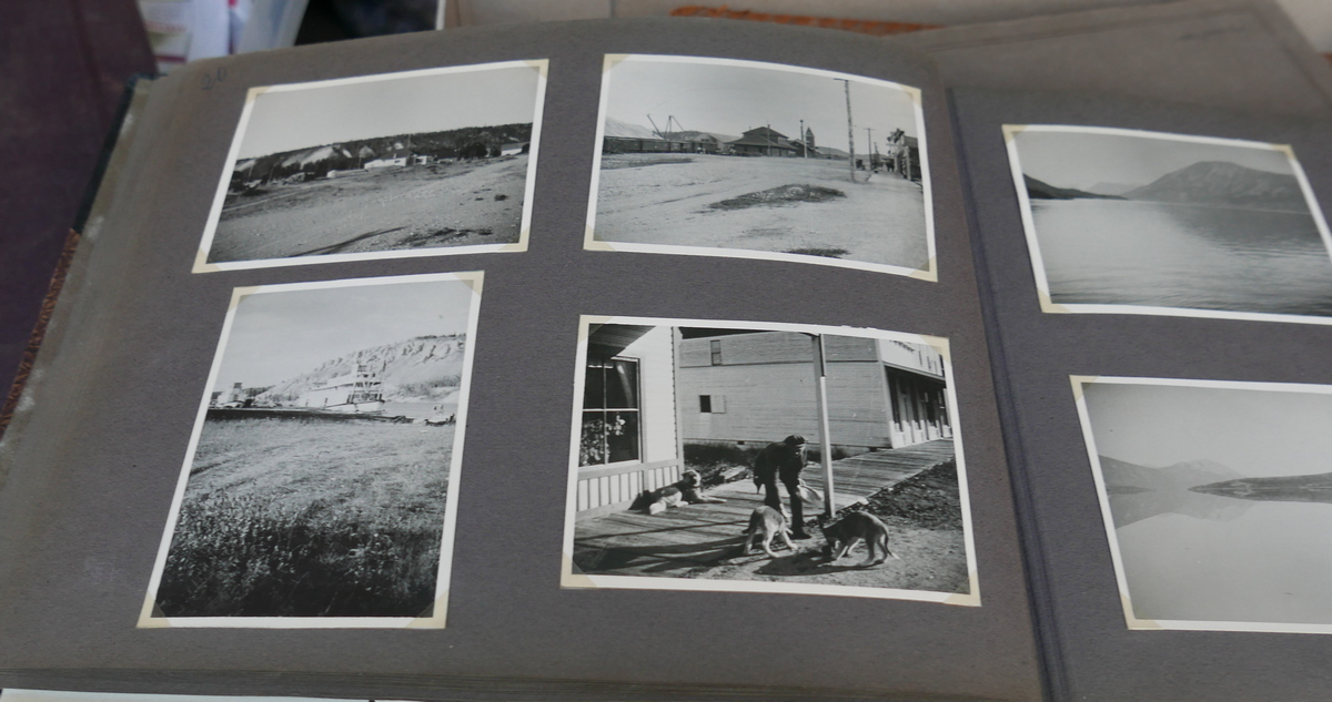 Lot of Albums of various Photo's. - Image 5 of 5
