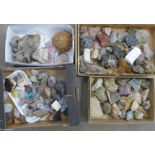 Four boxes of mineral samples