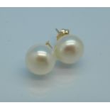 A pair of pearl earrings