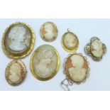 Six cameo brooches and a pendant