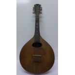 A 19th Century mandolin,