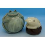 Two models of frogs,