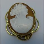 A cameo brooch