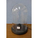 A glass dome table lamp