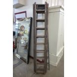 A set of extending ladders and a fruit pickers ladder