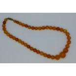 A butterscotch amber bead necklace,