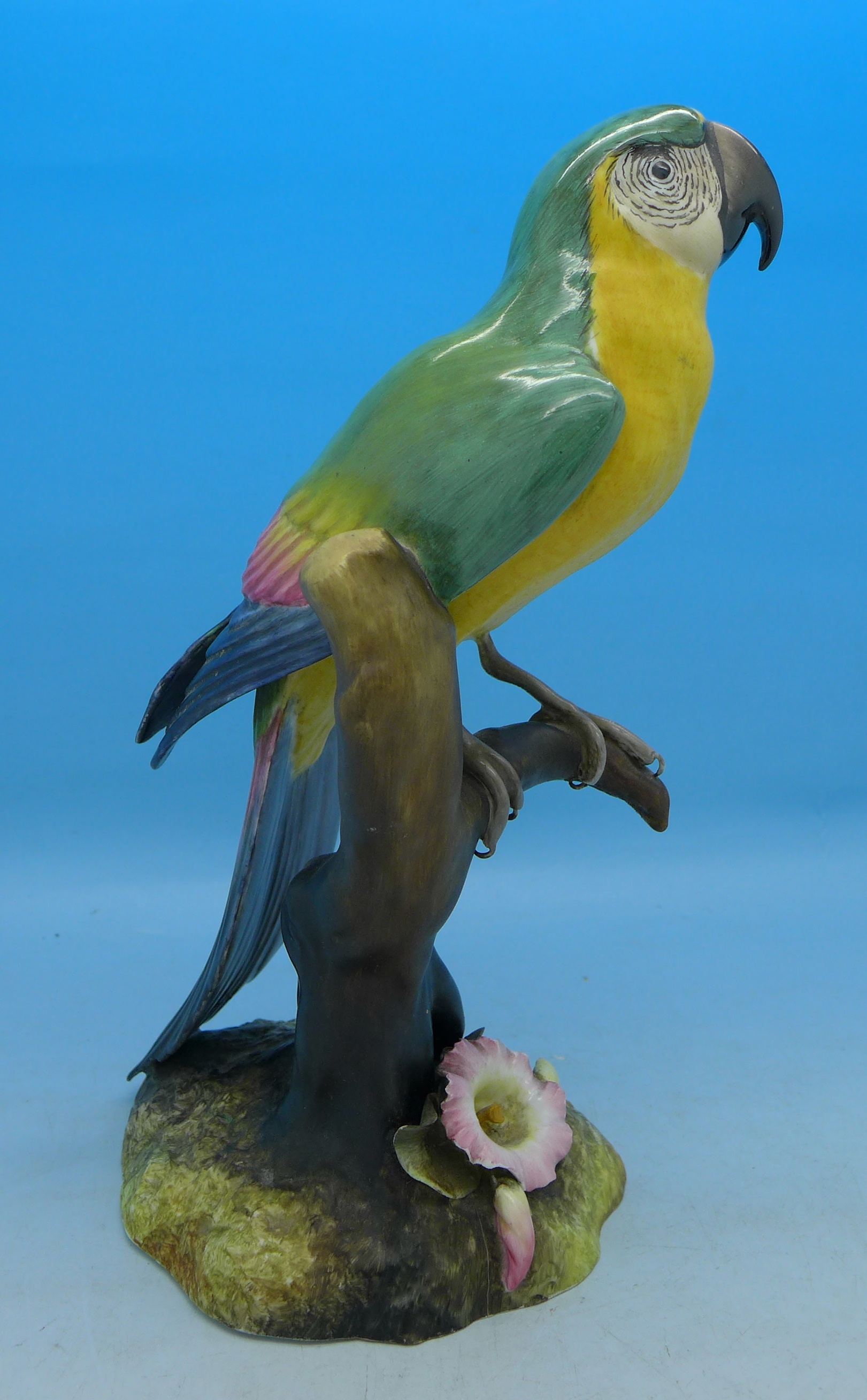 A Royal Crown Derby figure of a macaw, - Image 3 of 4