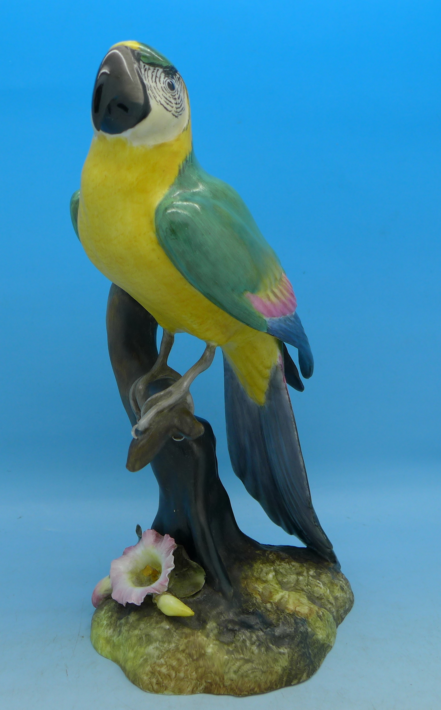 A Royal Crown Derby figure of a macaw,