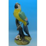 A Royal Crown Derby figure of a macaw,