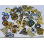 Costume brooches