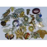 Costume brooches