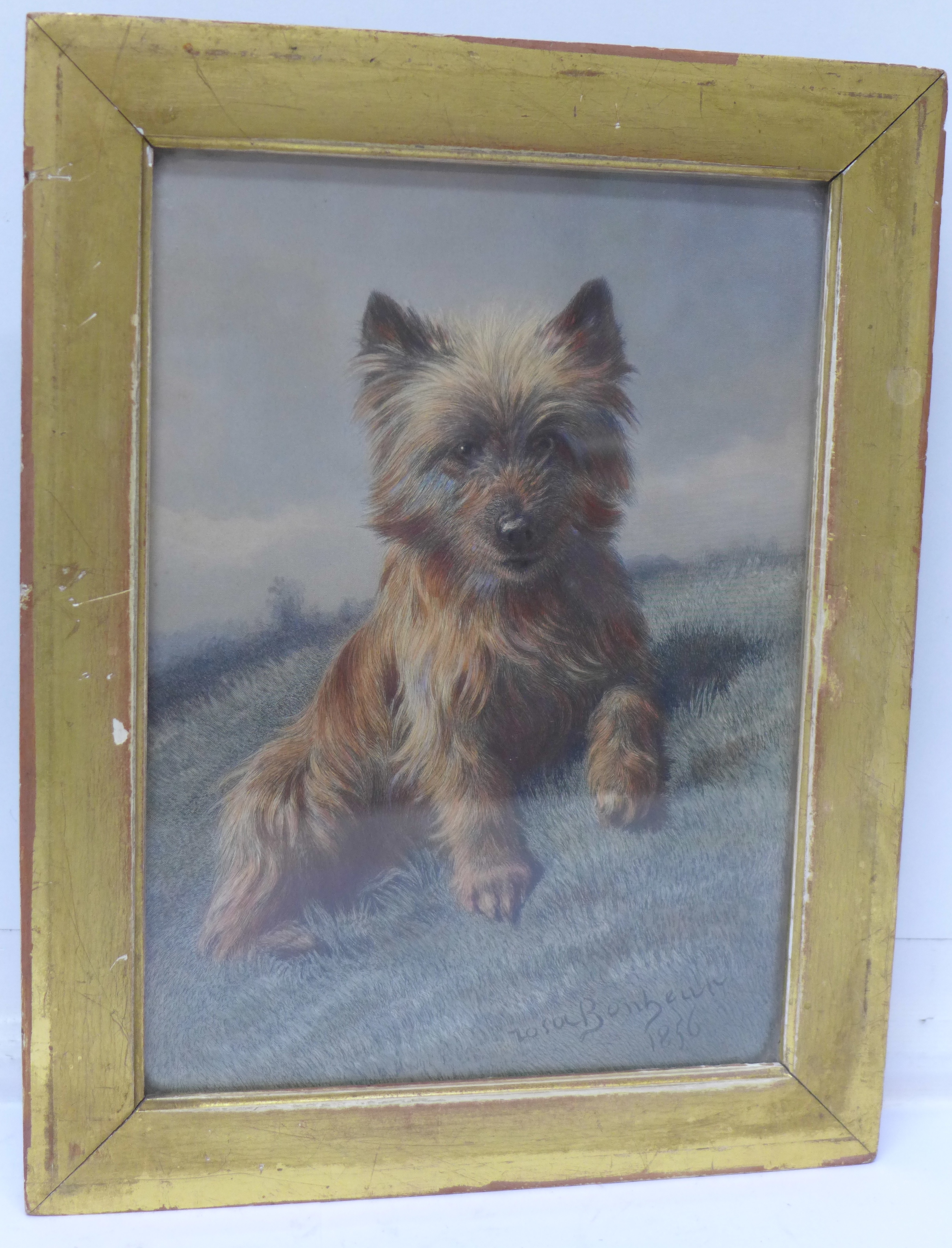 A 19th Century framed hand coloured engraving of 'Wasp' the dog signed Rosa Bonheur,