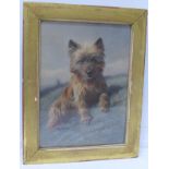 A 19th Century framed hand coloured engraving of 'Wasp' the dog signed Rosa Bonheur,