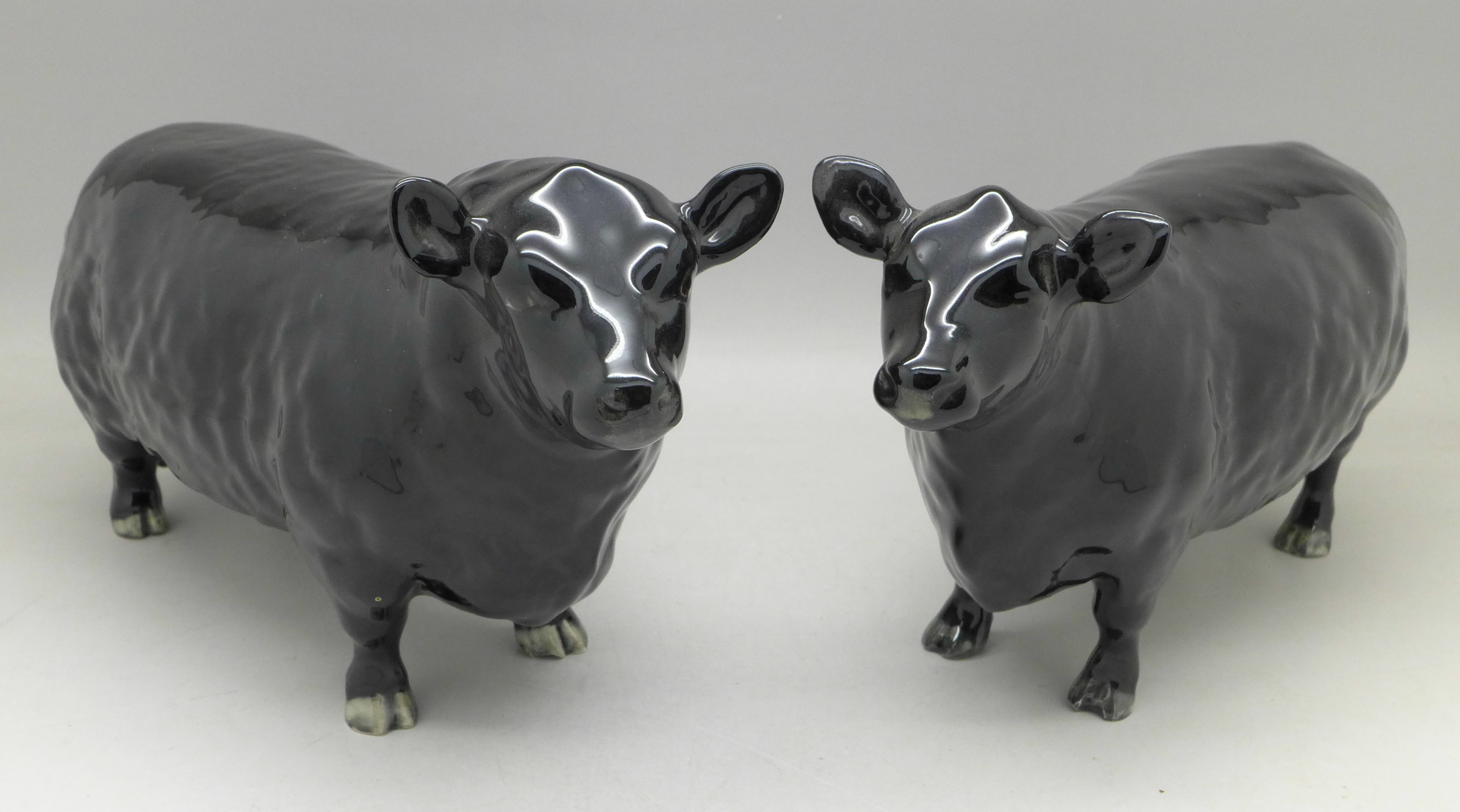 A Beswick Aberdeen Angus bull and cow