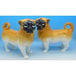 A pair of Staffordshire style pugs