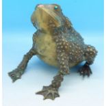 A bronze frog,