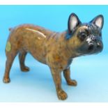 A Beswick model of a French bulldog, boxed,