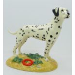 A Royal Doulton Animals collection figure on stand, Dalmatian, RDA7, boxed,