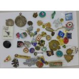 A collection of badges, etc.