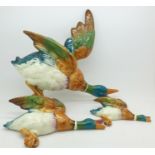 Three Beswick mallard wall plaques, 596-0,