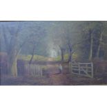 J. Morris, forest landscape, oil on canvas, framed, 50cm x 29cm