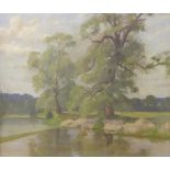 Paul Smyth, Poplars by a River, oil on canvas, framed, 60cm x 50cm
