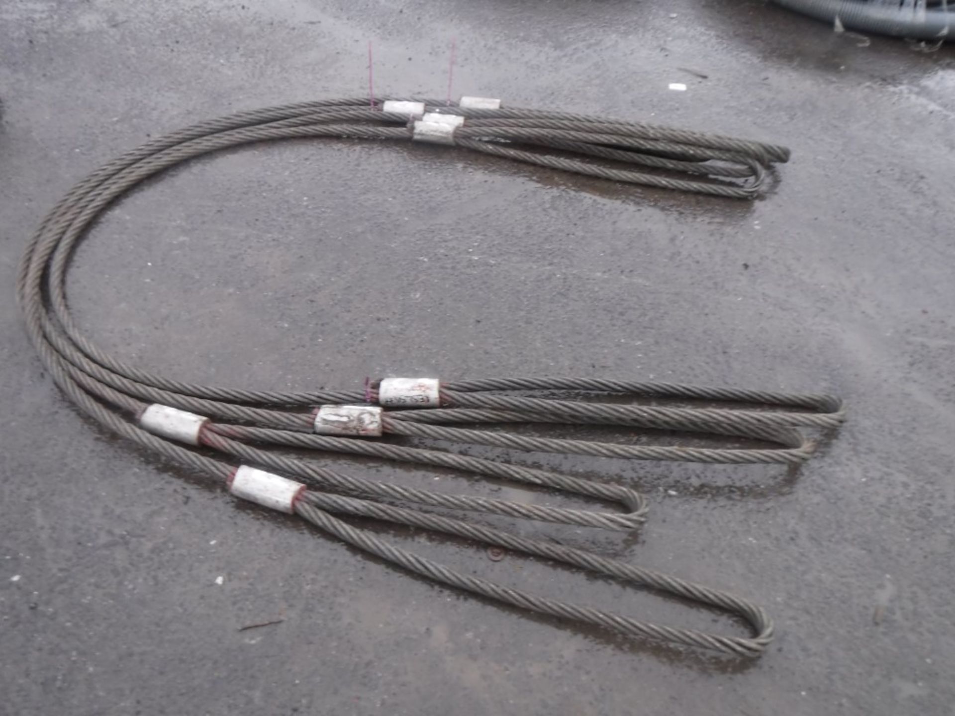 4 x 6m WIRE ROPE SLING [22] [+ VAT]