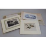 A selection of various prints and paintings from a Victorian ladies work book