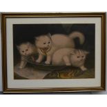 Two framed pictures of kittens,