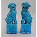 A pair of Chinese blue coloured ceramic foo dogs on plinths 20.