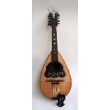 A Giovanni de Meglio mandolin