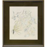 Ena Binfield, Hellebores 'Study in Green', and a painting of a floral display, gouache,