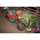 A large quantity of various plant pots and artificial