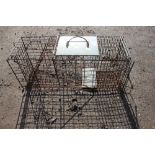 A metal rabbit trap