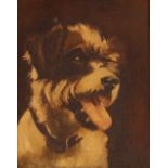 Ruby Page, "Harry", a terrier, signed oil on canvas dated 1927, also inscribed verso, 25cm x 19cm