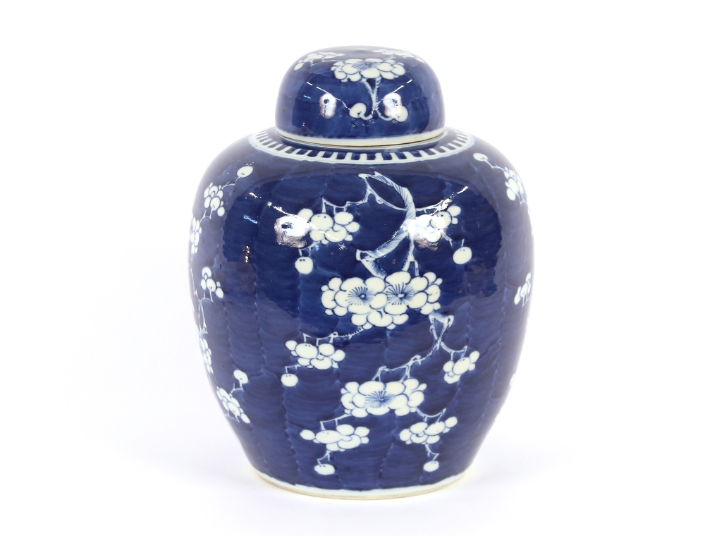 A large 19th Century Chinese Hawthorn pattern blue and white ginger jar and lid, 33cm high