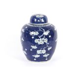 A large 19th Century Chinese Hawthorn pattern blue and white ginger jar and lid, 33cm high
