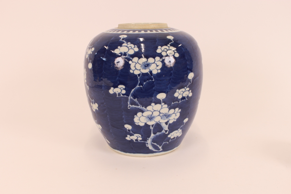 A large 19th Century Chinese Hawthorn pattern blue and white ginger jar and lid, 33cm high - Image 11 of 14