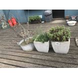 2x pre-cast garden planters, approx. 40cm and a galv