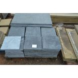 A large quantity of snake-skin slate slabs