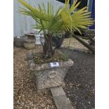 A garden planter containing plant, approx. 34cm diameter.