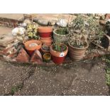 A quantity of miscellaneous planters